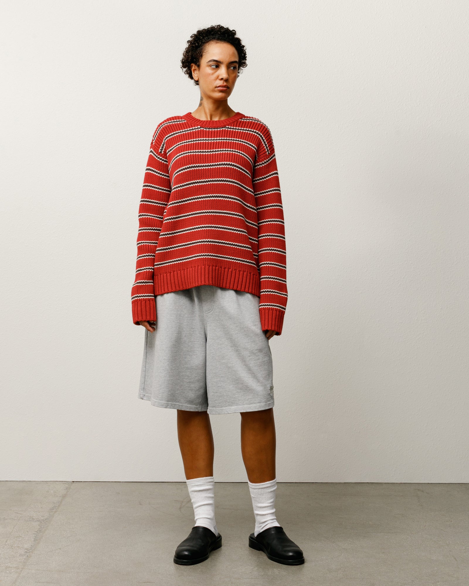 Stripe Crew Mens Long Sleeve In Brick