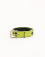 ARGYLE LEATHER BELT