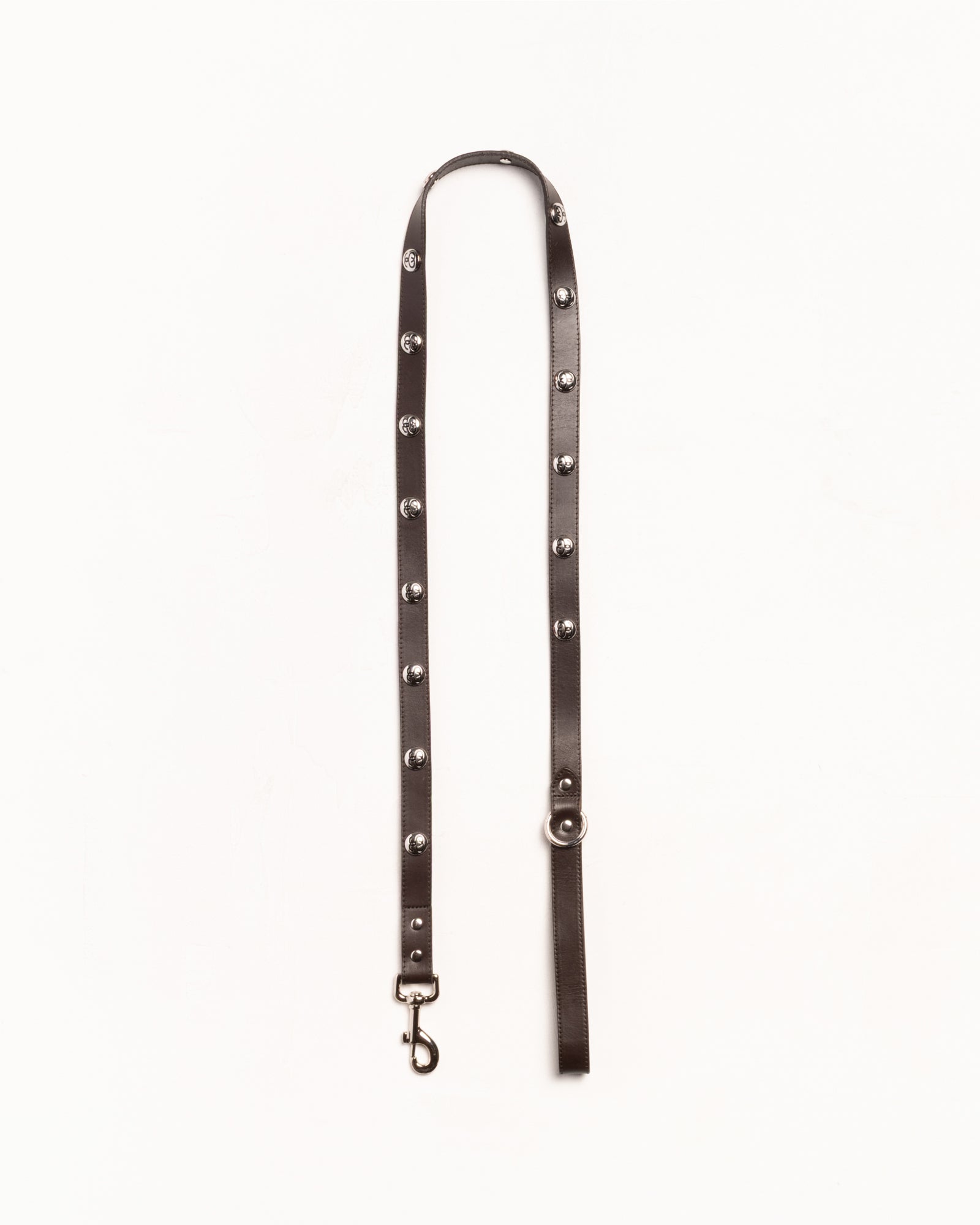 Ss Link Studded Dog Leash Accessories In Brown