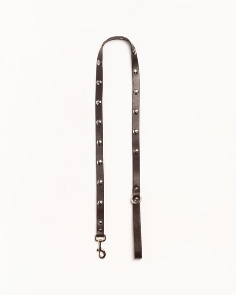 Ss Link Studded Dog Leash Accessories In Brown