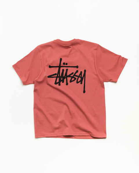 Basic Stüssy Tee unisex short sleeve in Clay, cotton jersey