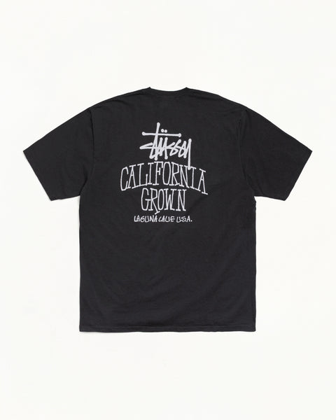 Cali Grown Pig. Dyed Tee Mens Short Sleeve In Faded Black