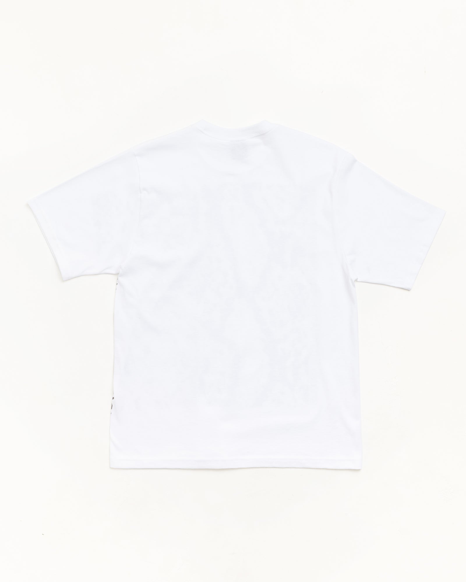 Tees | Basic Logo & Seasonal Graphics | Stüssy