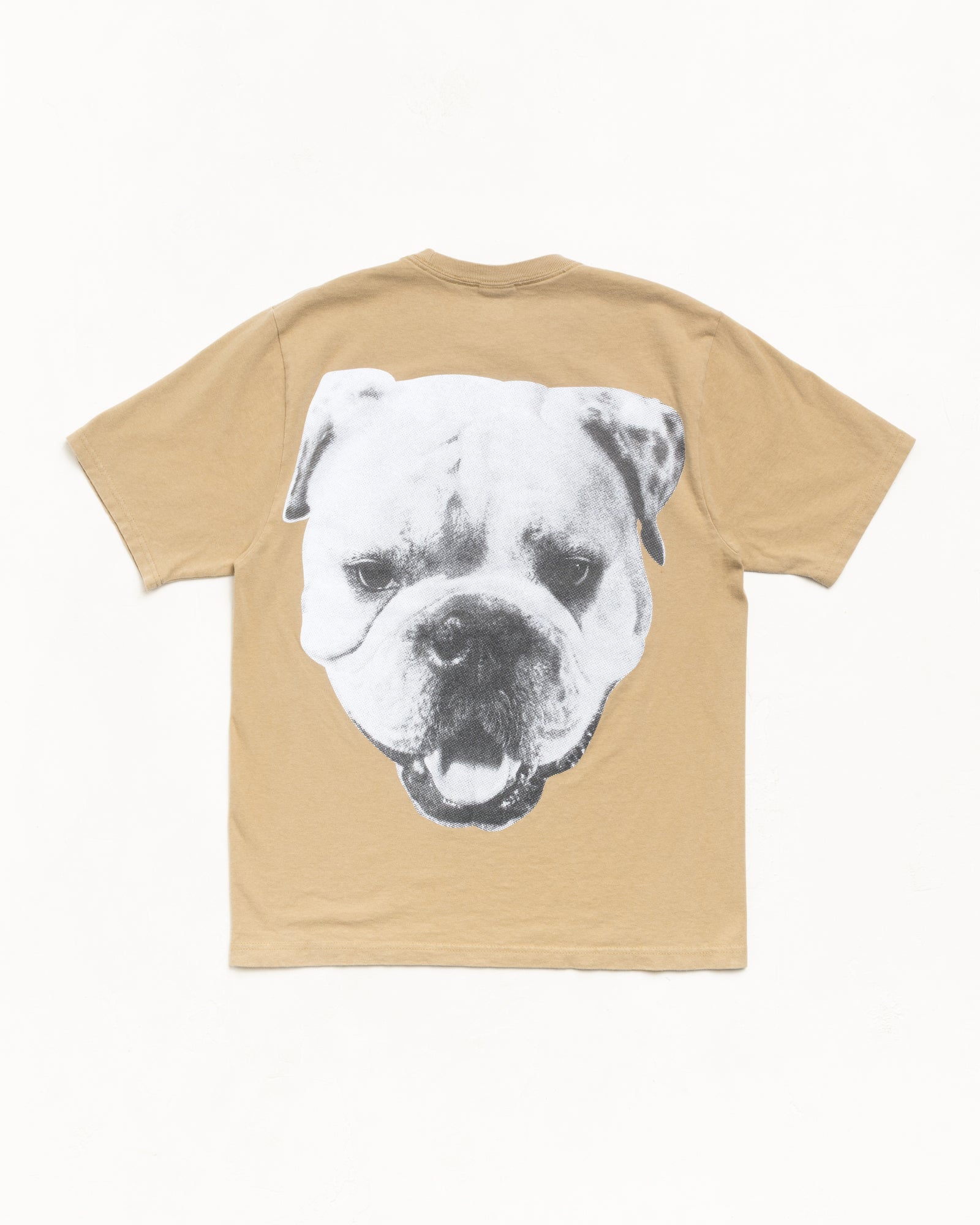 Big Dog Stone Washed Tee – Khaki | Tees | Stüssy