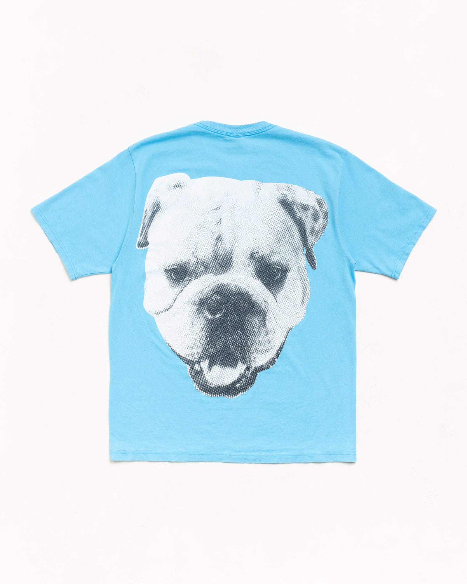 Big Dog Stone Washed Tee – Sky Blue | Tees | Stüssy