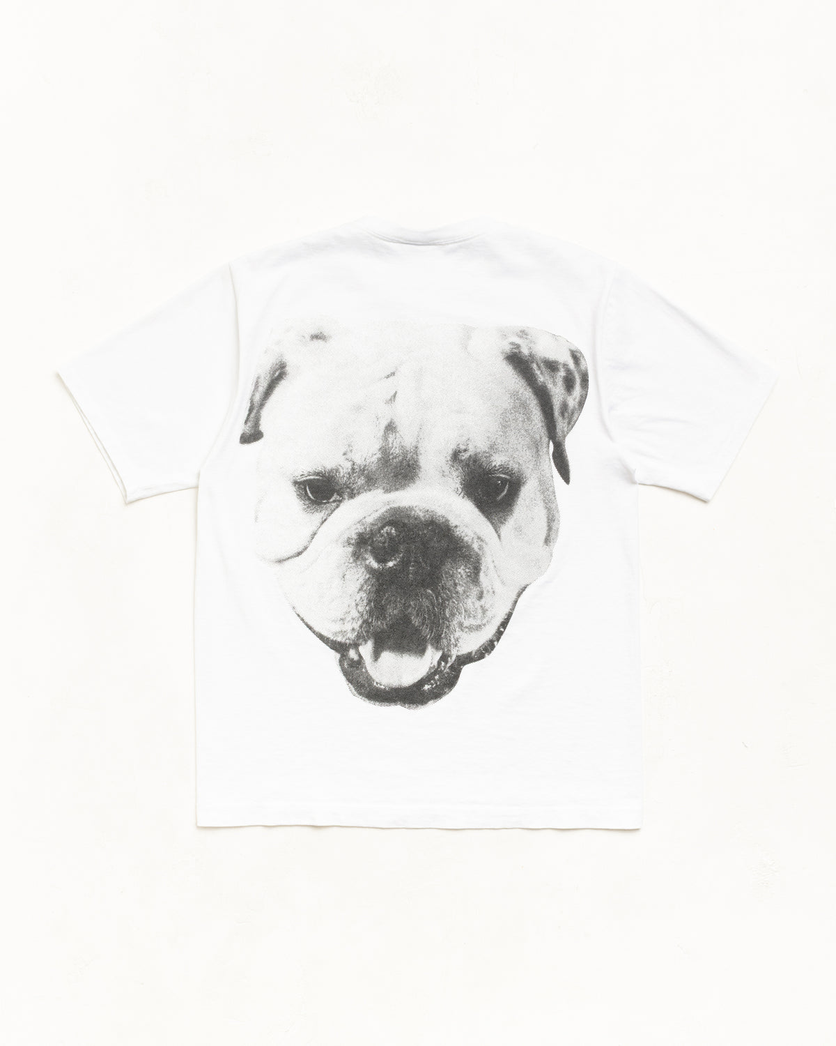 Big Dog Stone Washed Tee – White | Tees | Stüssy