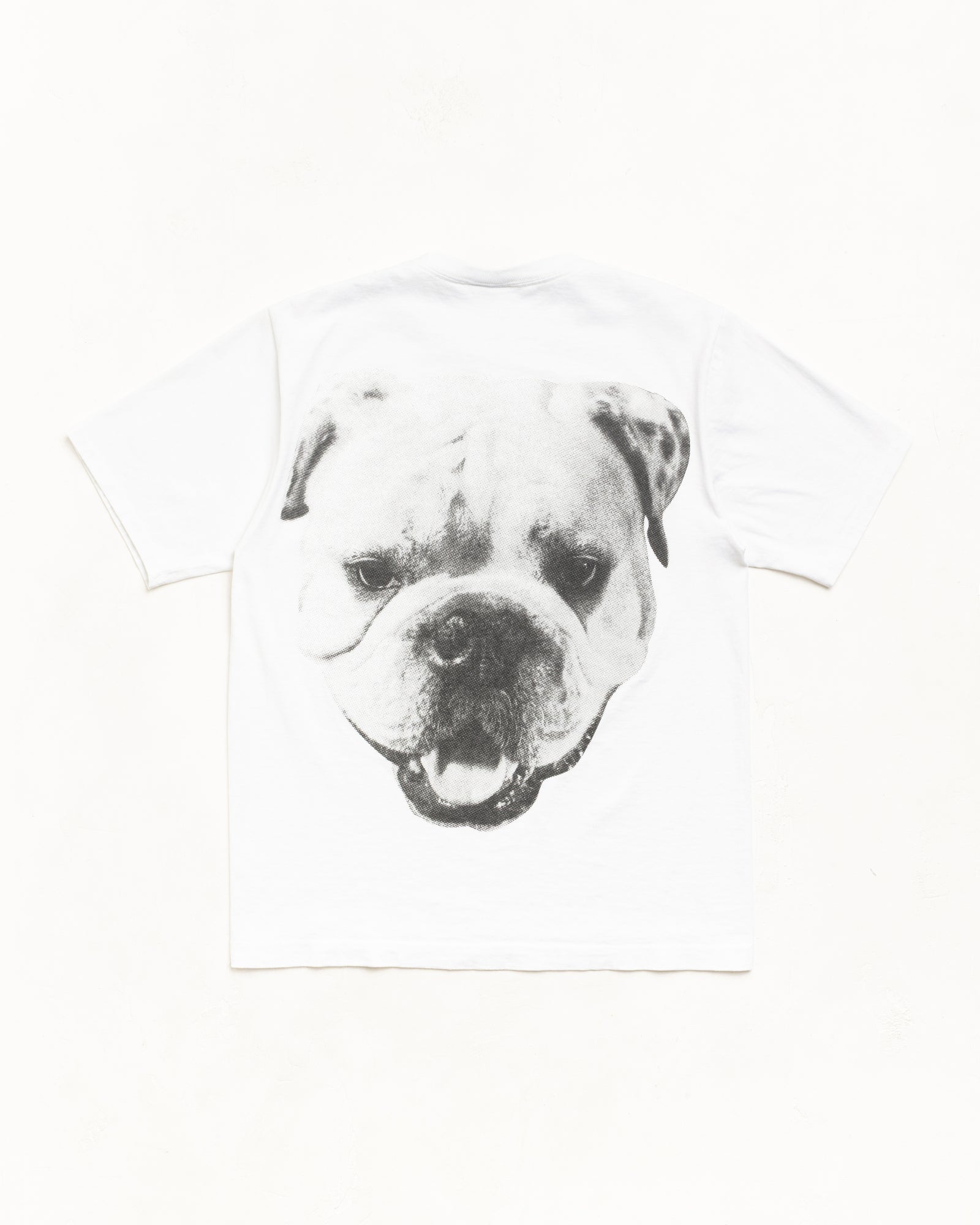 Big Dog Tee Mens Short Sleeve In White