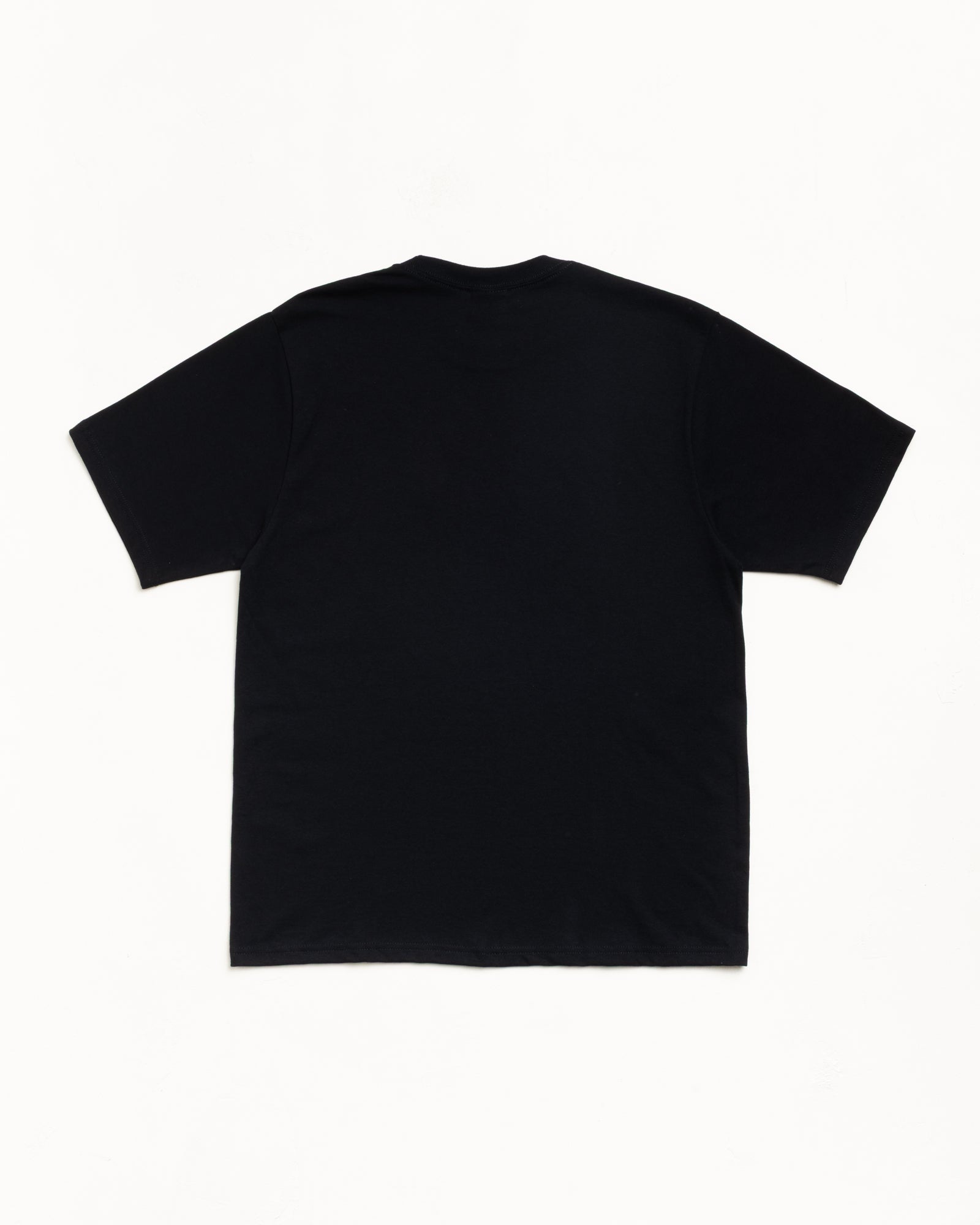 Tees | Basic Logo & Seasonal Graphics | Stüssy