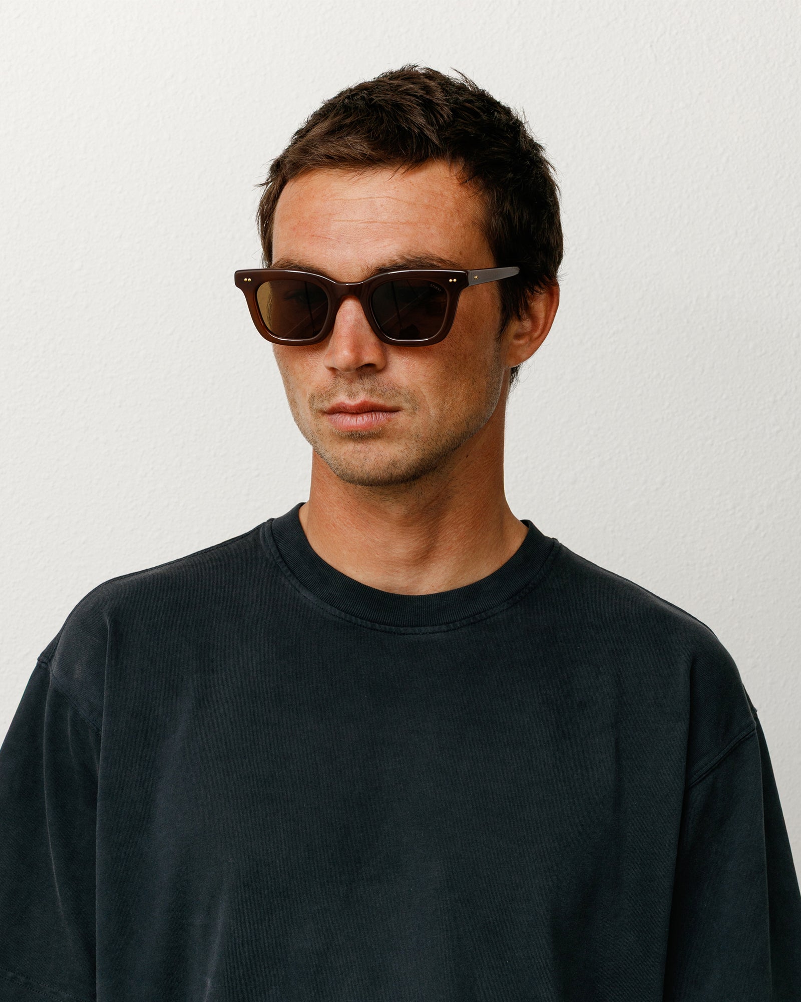 Ace Sunglasses – Dark Brown/Brown Lens | All Accessories | Stüssy