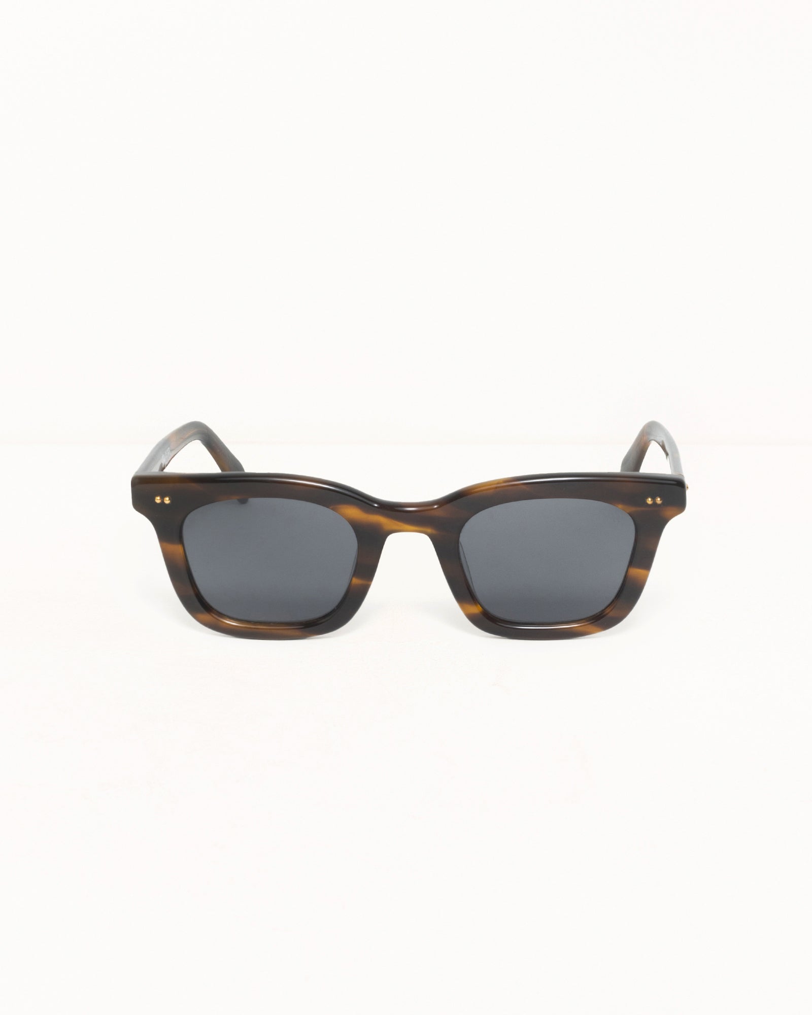 Ace Sunglasses Accessories In Tortoise/black Lens