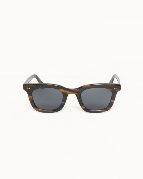 Ace Sunglasses Accessories In Tortoise/black Lens