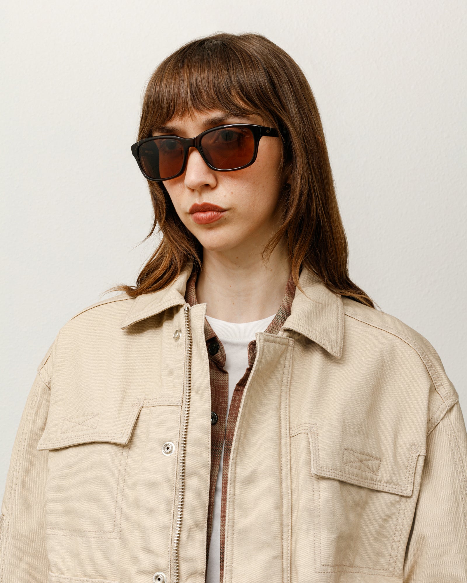 Alan Sunglasses – Brown / Brown Lens | Accessories | Stüssy